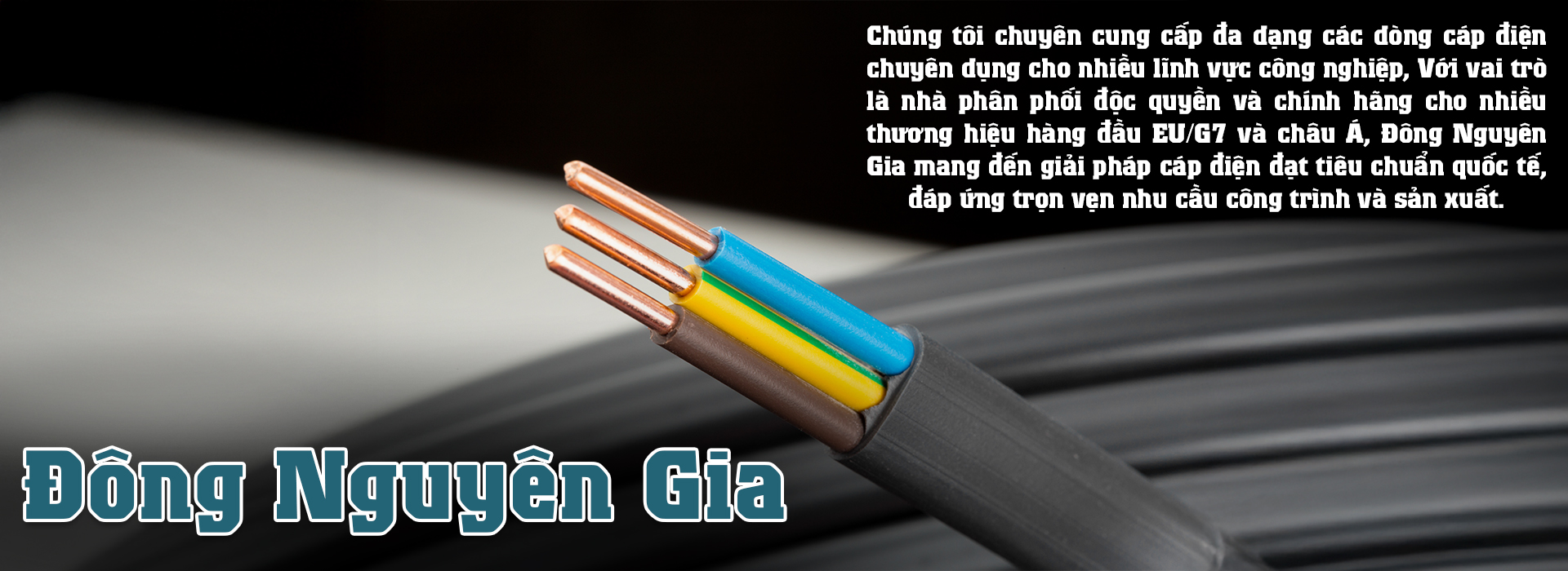 Công Ty TNHH Thương Mại Và Xuất Nhập Khẩu Đông Nguyên Gia